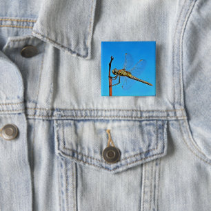 Hang auf die künstlerische Libelle gegen Cerulean  Button