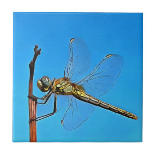 Hang auf die künstlerische Libelle gegen Cerulean Fliese