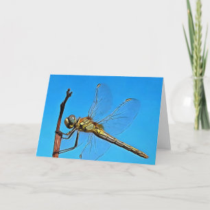 Hang auf die künstlerische Libelle gegen Cerulean  Karte