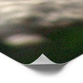 Hang da drin poster (Ecke)