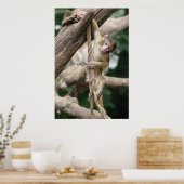 Hang da drin poster (Küche)