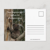 Hang da rein! Australien Koala Niedlich Postkarte (Rückseite)