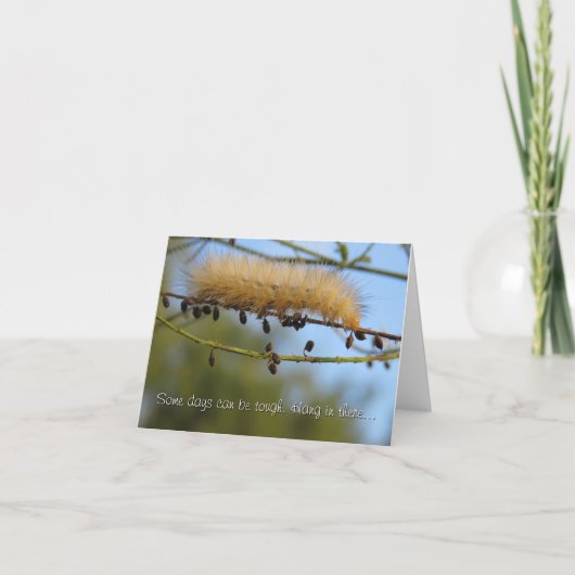 Hang da rein.. Denken Sie Karte (Vorderseite)