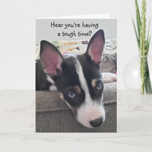 Hang da rein, hole Well Card, Niedliche Puppy Card Karte (Vorderseite)
