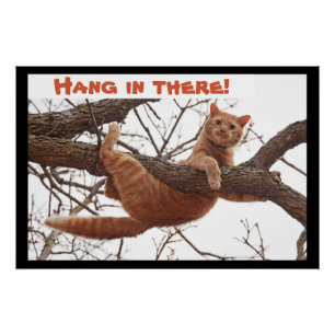 Hang da rein! - Ingwerkatze, die eng hält Poster