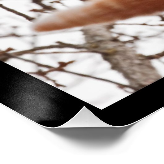 Hang da rein! - Ingwerkatze, die eng hält Poster (Ecke)