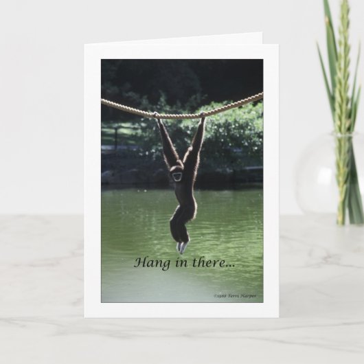 Hang da rein karte (Vorderseite)