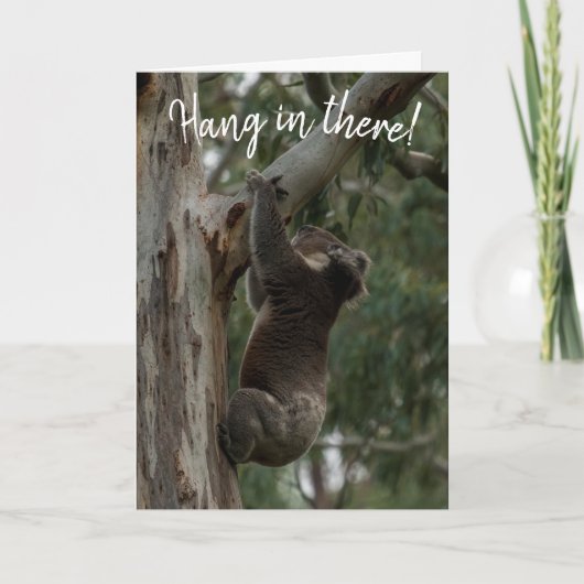 Hang da rein! Koala Australia Card Karte (Vorderseite)