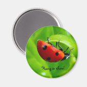 Hang da rein! magnet (Vorderseite/Rückseite)