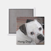 Hang Dog? Magnet (Vorderseite/Rückseite)