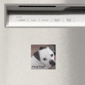 Hang Dog? Magnet (In Situ (Geschirrspüler))