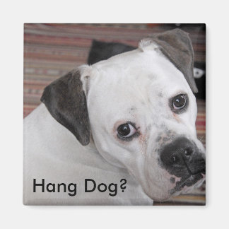 Hang Dog? Magnet