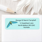 Hang Gliding (Insitu)