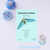 Hang Gliding Flyer (Einzeln)