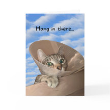 Hang in There Chat in Cone Funny werden gut