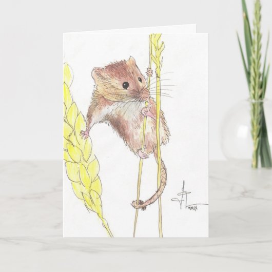 Hang in There, Dormouse! Karte (Vorderseite)