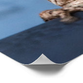 Hang in There Frog Poster (Ecke)