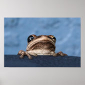 Hang in There Frog Poster (Vorne)