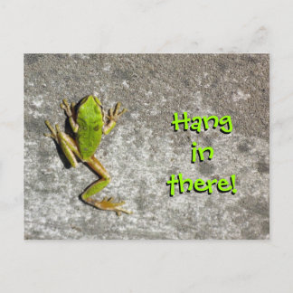 Hang in There Frosch Postcard Postkarte