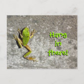 Hang in There Frosch Postcard Postkarte (Vorderseite)