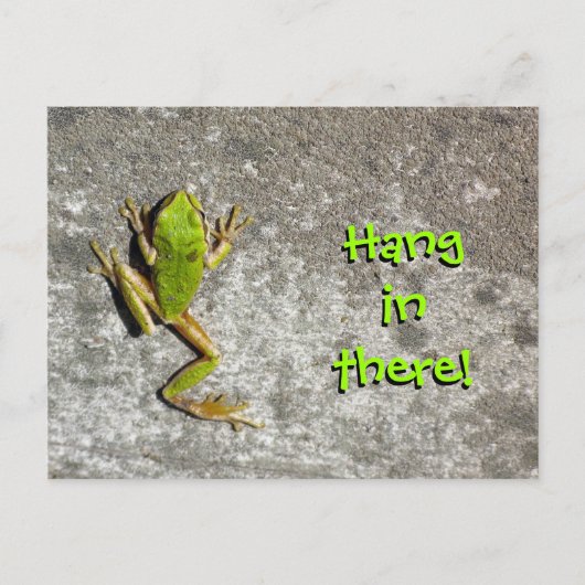 Hang in There Frosch Postcard Postkarte (Vorderseite)