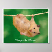 Hang in There Hamster Poster (Vorne)