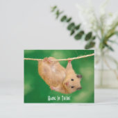 Hang in There Hamster Postkarte (Stehend Vorderseite)