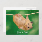 Hang in There Hamster Postkarte (Vorne/Hinten)