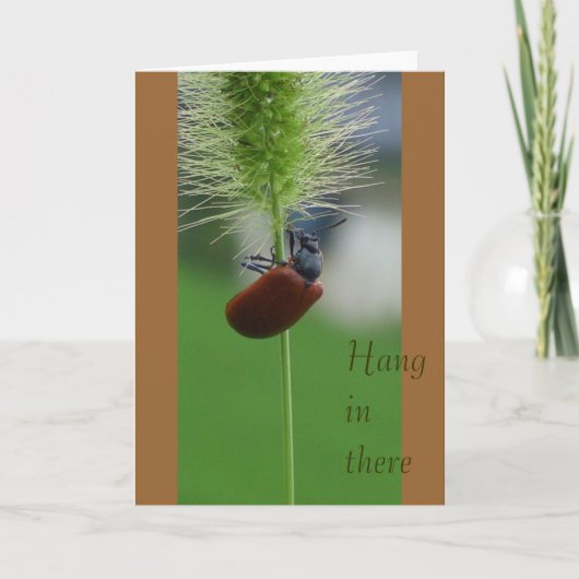 Hang in there karte (Vorderseite)