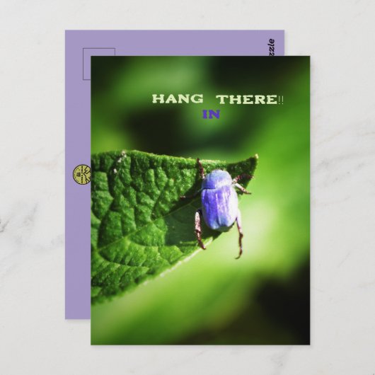 Hang in There, Lila Beatle, Postkarte (Vorne/Hinten)