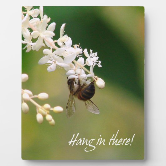 "Hang in There" Motivierend Plaque Fotoplatte (Vorderseite)