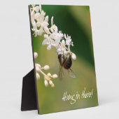 "Hang in There" Motivierend Plaque Fotoplatte (Seite)