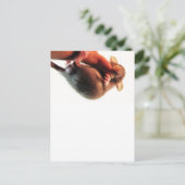 Hang in There Rat Postkarte (Stehend Vorderseite)