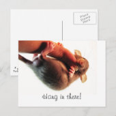 Hang in There Rat Postkarte (Vorne/Hinten)