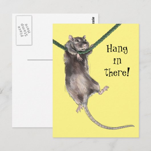 Hang in There Rat Postkarte (Vorne/Hinten)