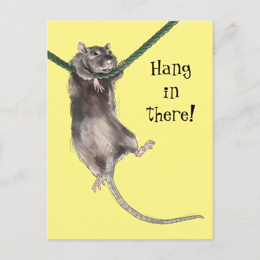 Hang in There Rat Postkarte (Vorderseite)