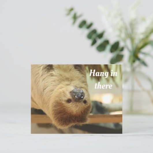 Hang in There, Sloth Postkarte (Stehend Vorderseite)