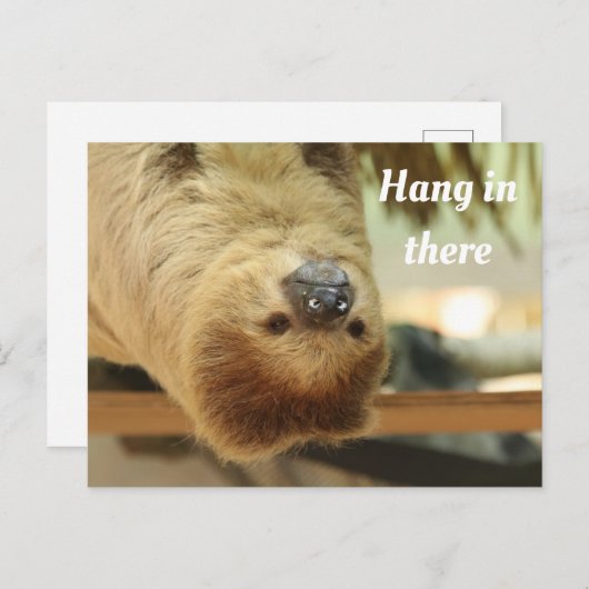 Hang in There, Sloth Postkarte (Vorne/Hinten)