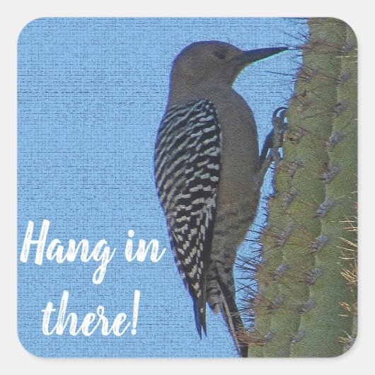 Hang in There Woodpecker Foto Saguaro Cactus Quadratischer Aufkleber (Vorderseite)