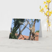 Hang On, Monkey Birthday Karte (Gelbe Blume)