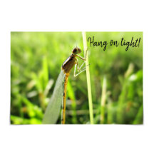 "Hang on Tight" Funny Dragonfly-Ermutigungskarte