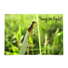 "Hang on Tight" Funny Dragonfly-Ermutigungskarte Karte