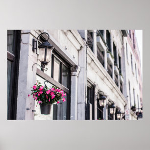 HANG PINK FLOWER ON WHITE CONCRETE BUILDING AT DAY POSTER