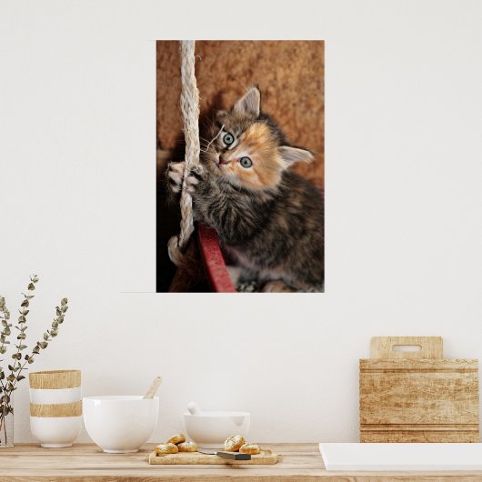 Hang rein, Kitty! Poster (Küche)