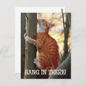 Hänge da mit Katze im Foto Postkarte (Vorne/Hinten)