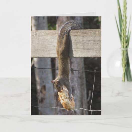 Hänge in There Baby (unbedruckt innen) Karte (Vorderseite)