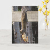 Hänge in There Baby (unbedruckt innen) Karte (Gelbe Blume)