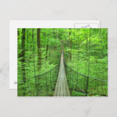 Hängebrücke Postkarte (Vorne/Hinten)