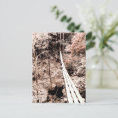 Hängebrücke Postkarte (Stehend Vorderseite)