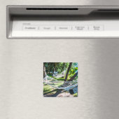 Hängematte am Strand, Fidschi Magnet (In Situ (Geschirrspüler))